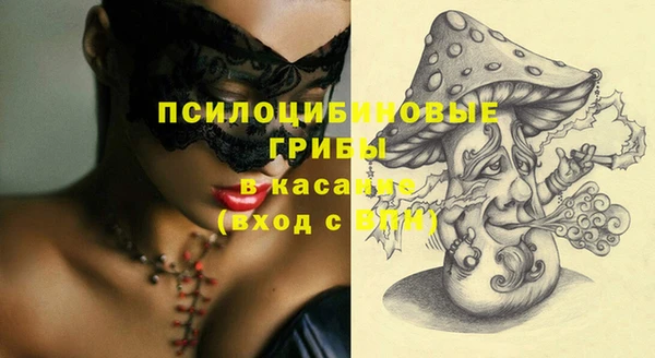 МДПВ Абинск