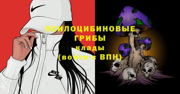 МДПВ Абинск