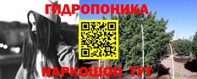 каннабис Бердск