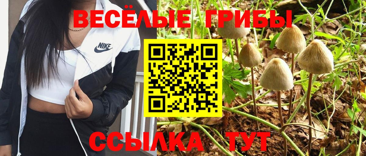 Галлюциногенные грибы прущие грибы  Псилоцибиновые грибы Cubensis  Алатырь  Вход с VPN 